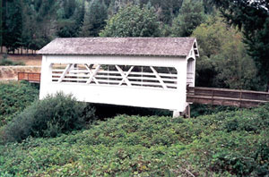 Remote Covered Bridge